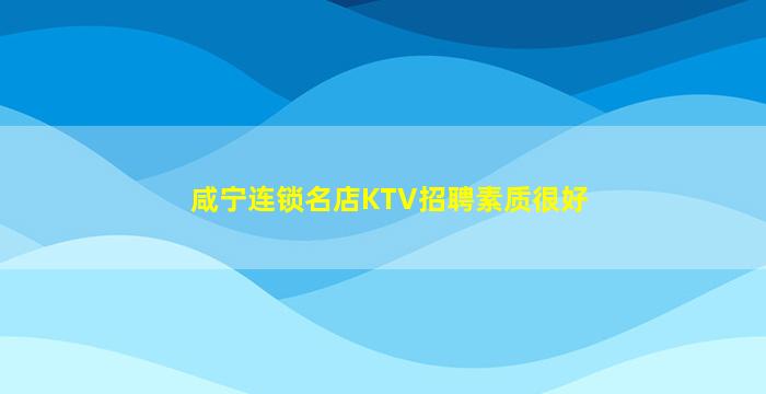 咸宁连锁名店KTV招聘素质很好